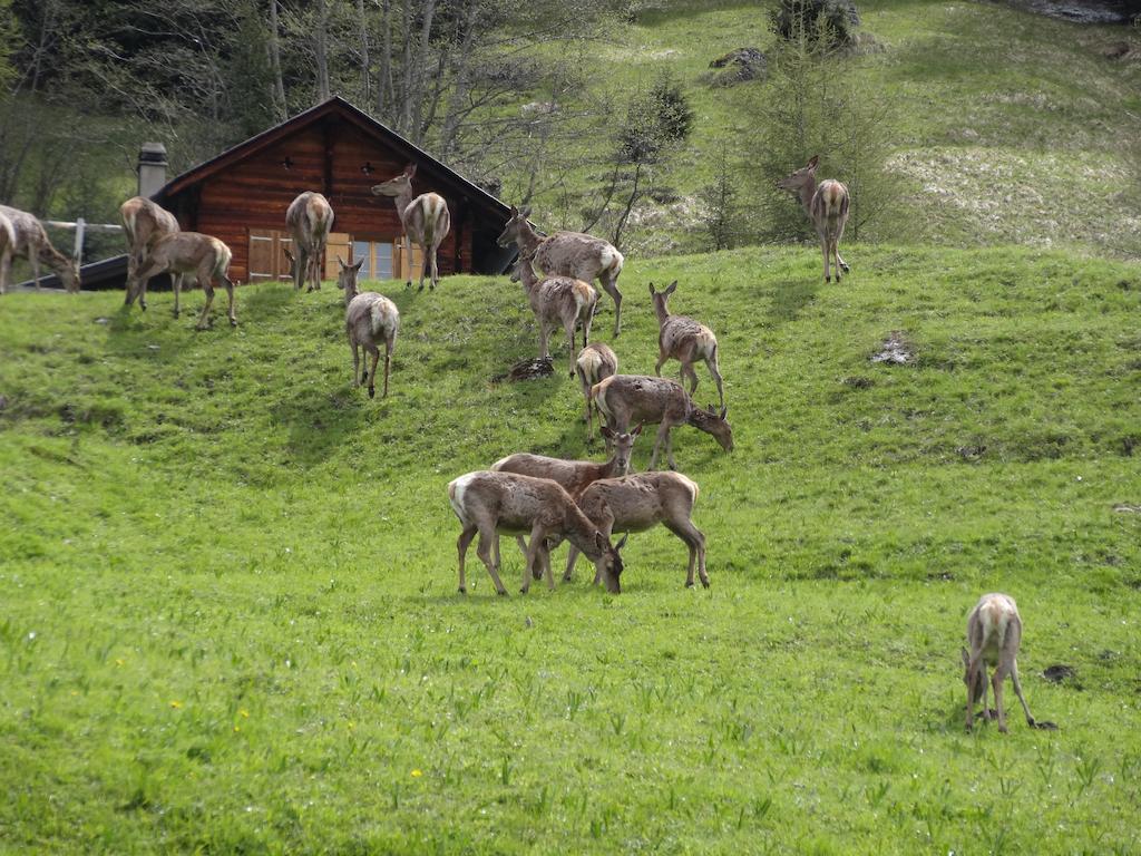 Chalet Edelweiss Heremence Quarto foto